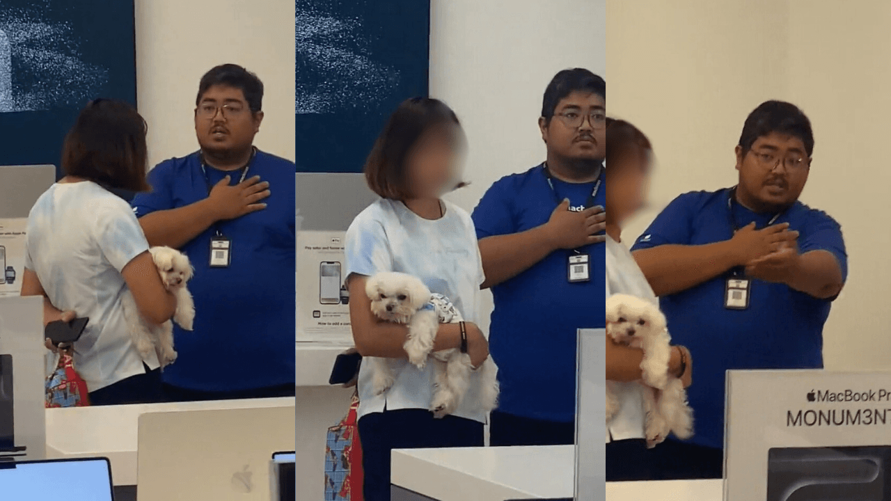 Woman Sparks Dispute Over 'No Pets Allowed' Policy At Machine Store; Staff Commended For Professionalism